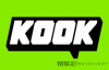 KOOK客户端为什么会频繁崩溃和闪退？如何解决KOOK崩溃闪退问题？