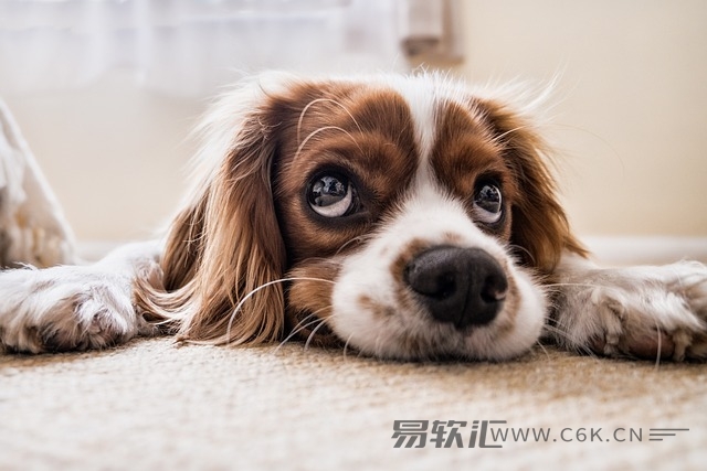 电脑开不了机显示一排英文